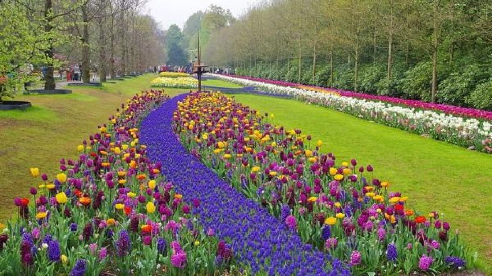 MeiseReise® Wohnmobile Keukenhof