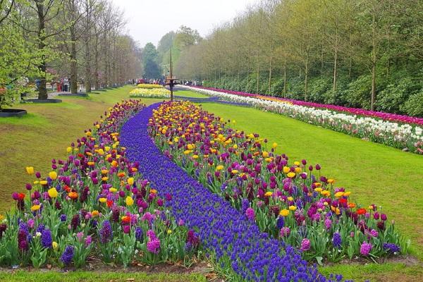 MeiseReise® Wohnmobile Keukenhof